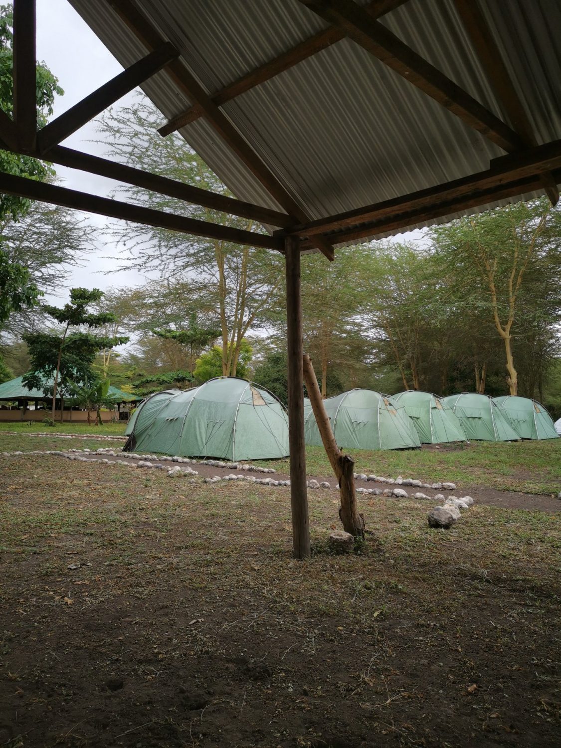 Camping Tanzania safari