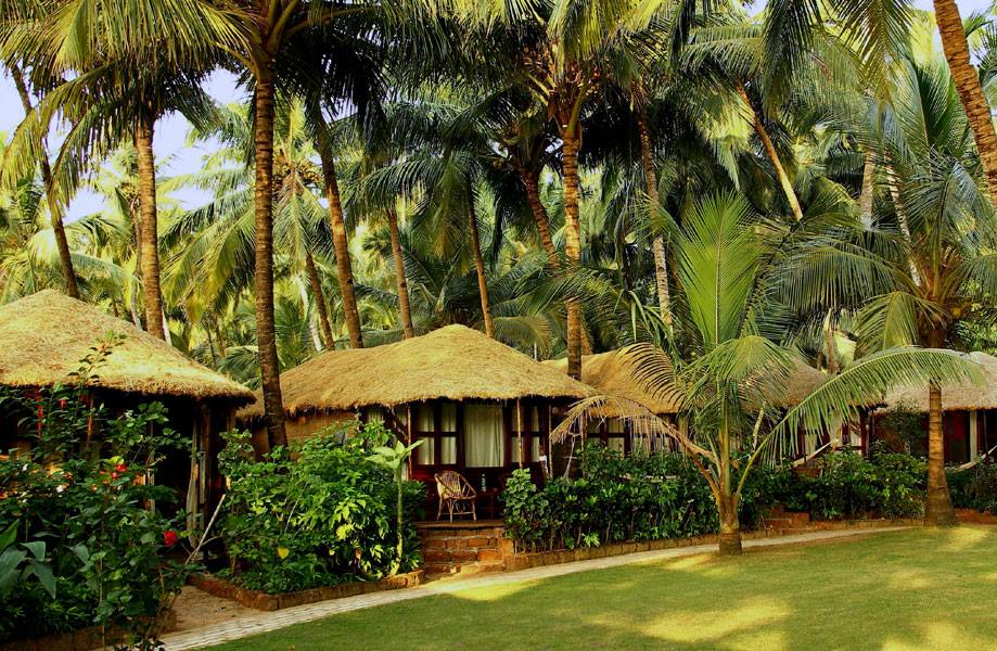 CIARANS BEACH RESORT Indie Goa domki palmy