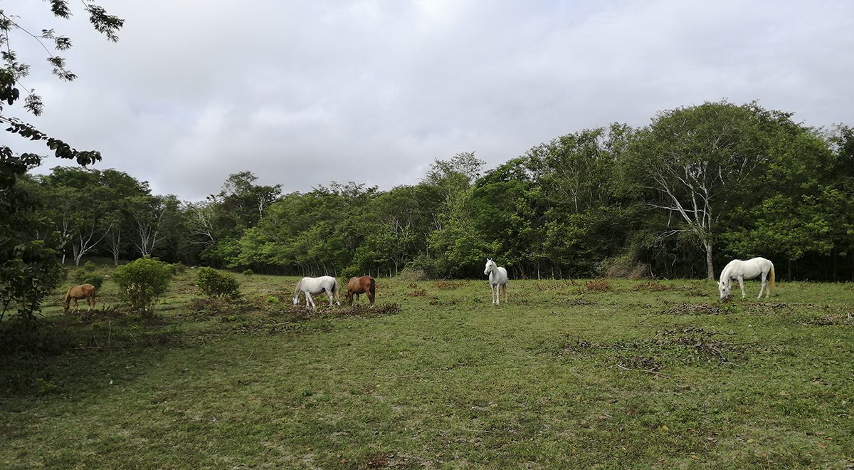 Ecolodge El Sombrero okolica Gwatemala