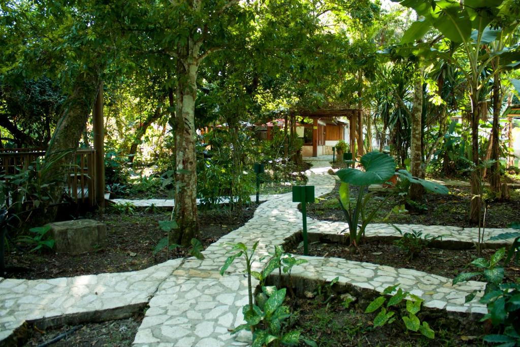Jaguar Inn Tikal ogród 2