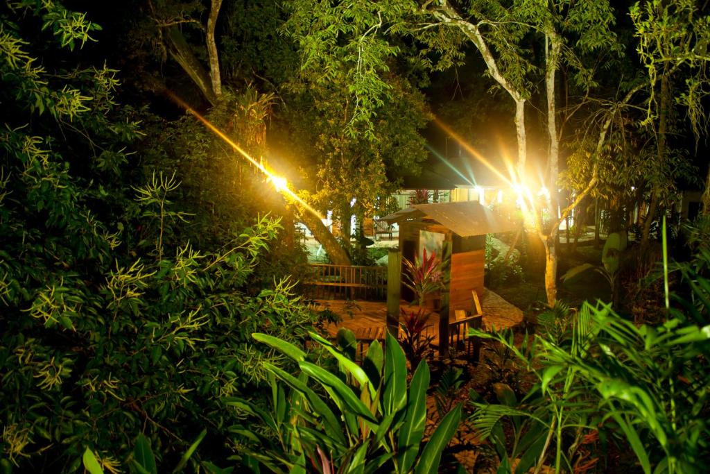 Jaguar Inn Tikal ogród