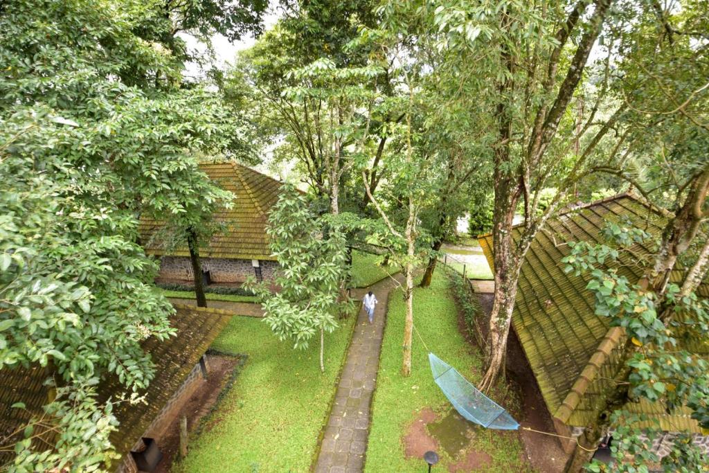 Thekkady Treetop Hotel Kerala Indie ogród