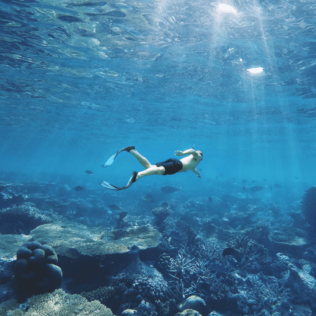 Snorkeling, Malediwy