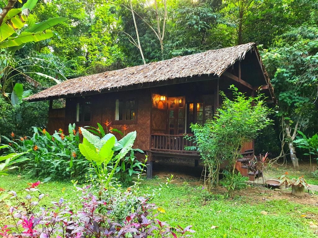 Our Jungle House Tajlandia