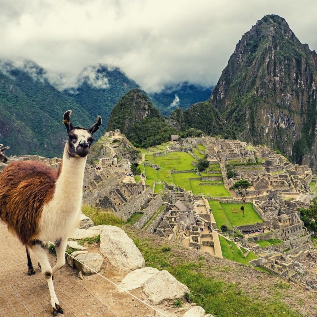 Machu Picchu Peru wycieczka